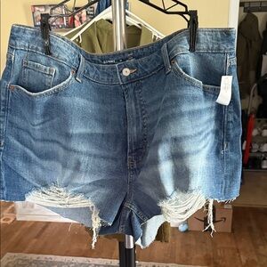 Old Navy Women's Distressed Blue Jean Shorts